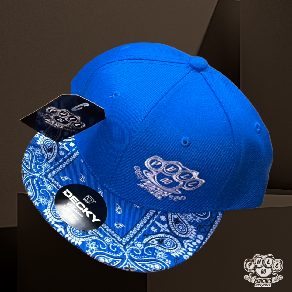FLAT BRIM PAISLEY W/EMBROIDERED LOGO. DECKY SNAPBACK .