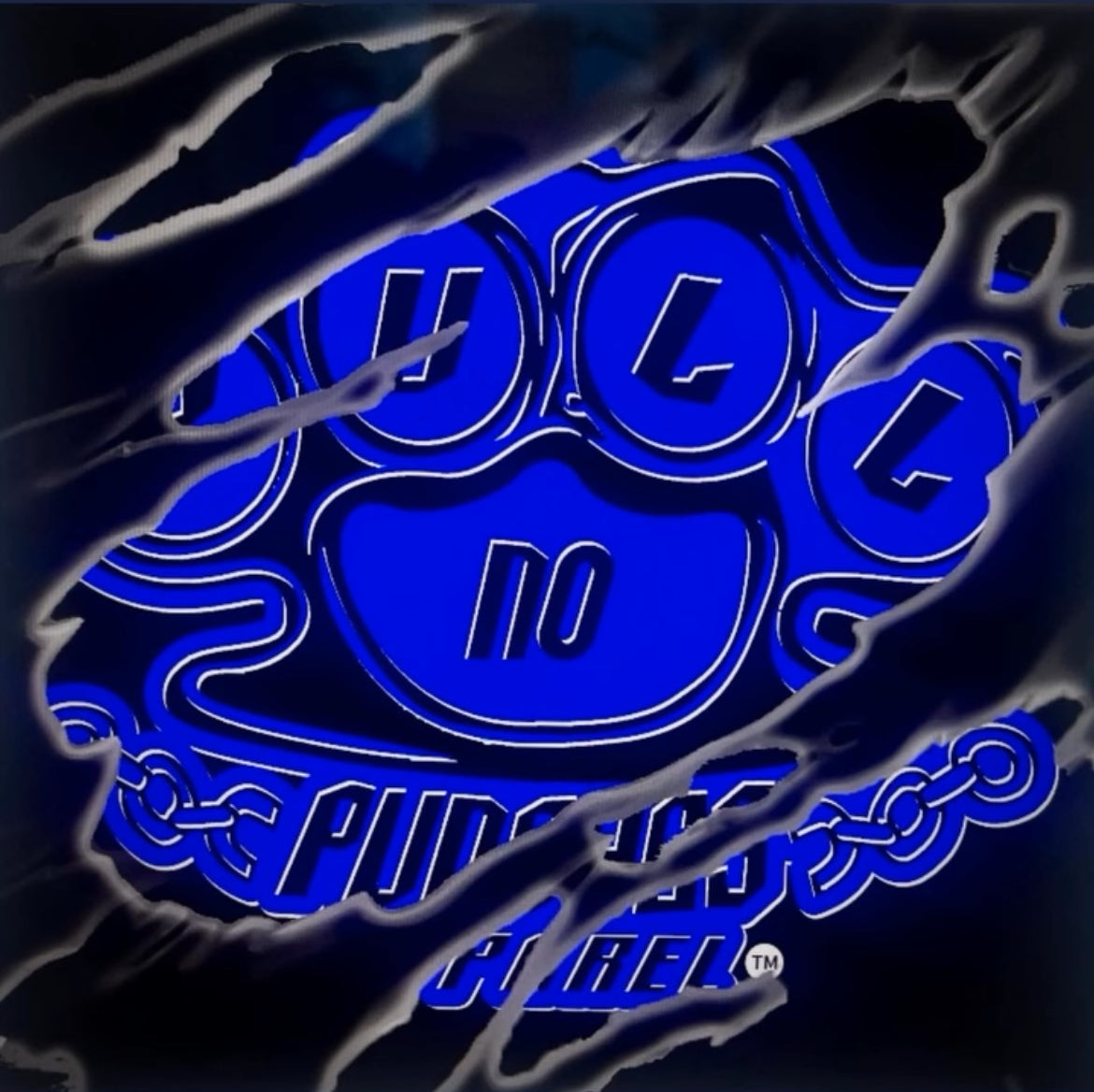 PNPA LOGO -SCRATCHED.                    Indicate color of logo in notes at check.