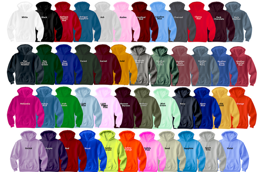 TEAL LOGO W/WHITE HIGHLIGHT. ￼ Indicate color of hoodie in notes at checkout.