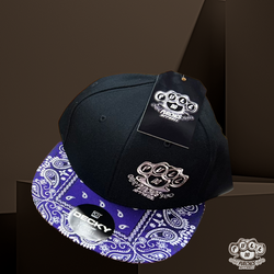 FLAT BRIM PAISLEY W/EMBROIDERED LOGO. DECKY SNAP-BACK.