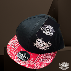 FLAT-BRIM PAISLEY W/EMBROIDERED LOGO. DECKY SNAPBACK.